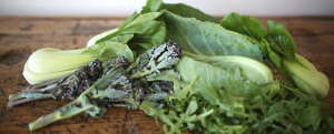 Green Veggies | Joy of Yum | Whole Food Plant Based Lifestyle
