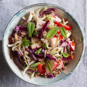 Jewel Salad | Cabbage and Mixed Grain SaladSalad | Joy of Yum