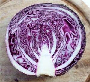 Red Cabbage | Joy of Yum